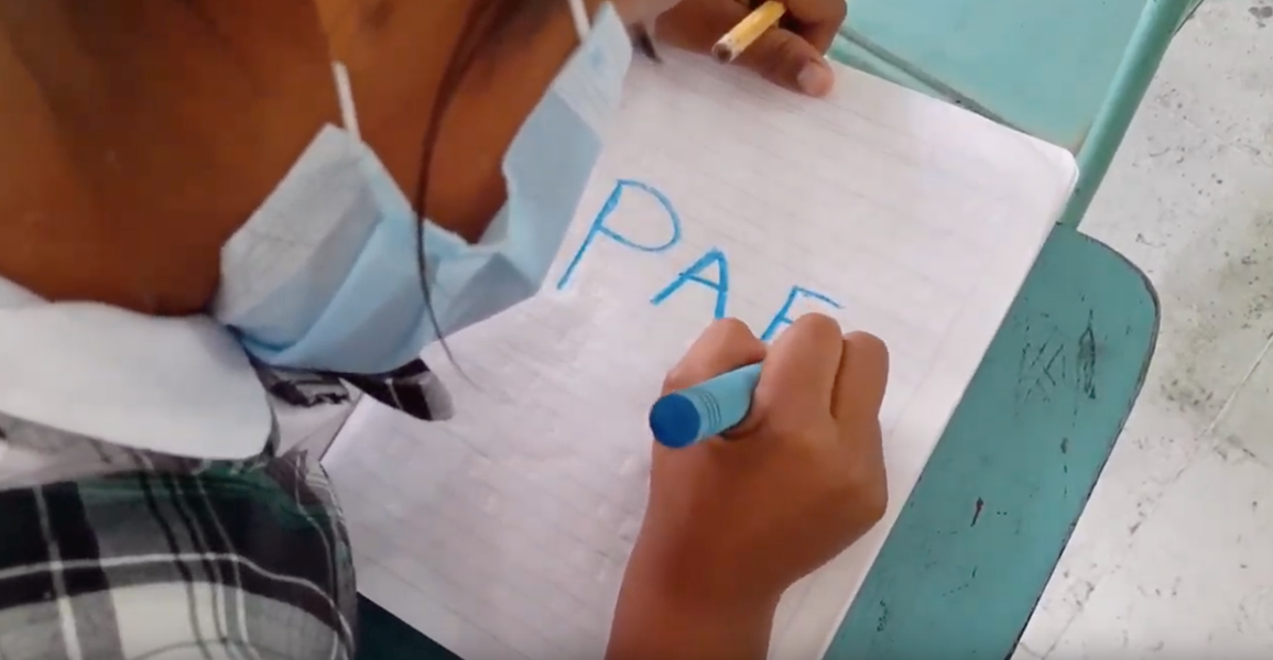 89 de las 97 entidades territoriales certificadas en educación gobernaciones y alcaldías informan avances significativos en la contratación del PAE