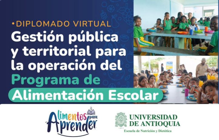 Diplomado virtual: Gestión Pública y Territorial para la Operación del PAE