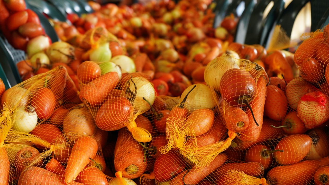 Más de 605 mil estudiantes recibieron alimentación escolar durante el receso: el Gobierno del Cambio fortalece el PAE en los territorios con mayor inseguridad alimentaria