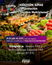 GESTIÓN SIPAE "Planeación Técnico Nutricional"