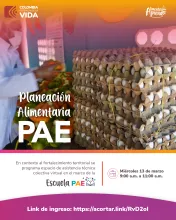 Planeación Alimentaria PAE