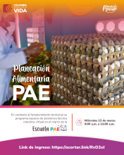 Planeación Alimentaria PAE