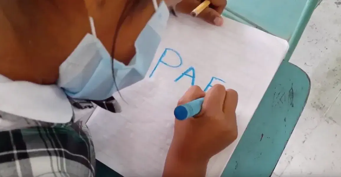 89 de las 97 entidades territoriales certificadas en educación gobernaciones y alcaldías informan avances significativos en la contratación del PAE