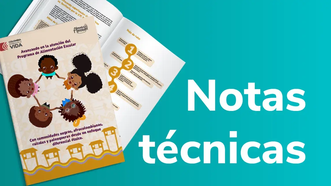 Notas técnicas