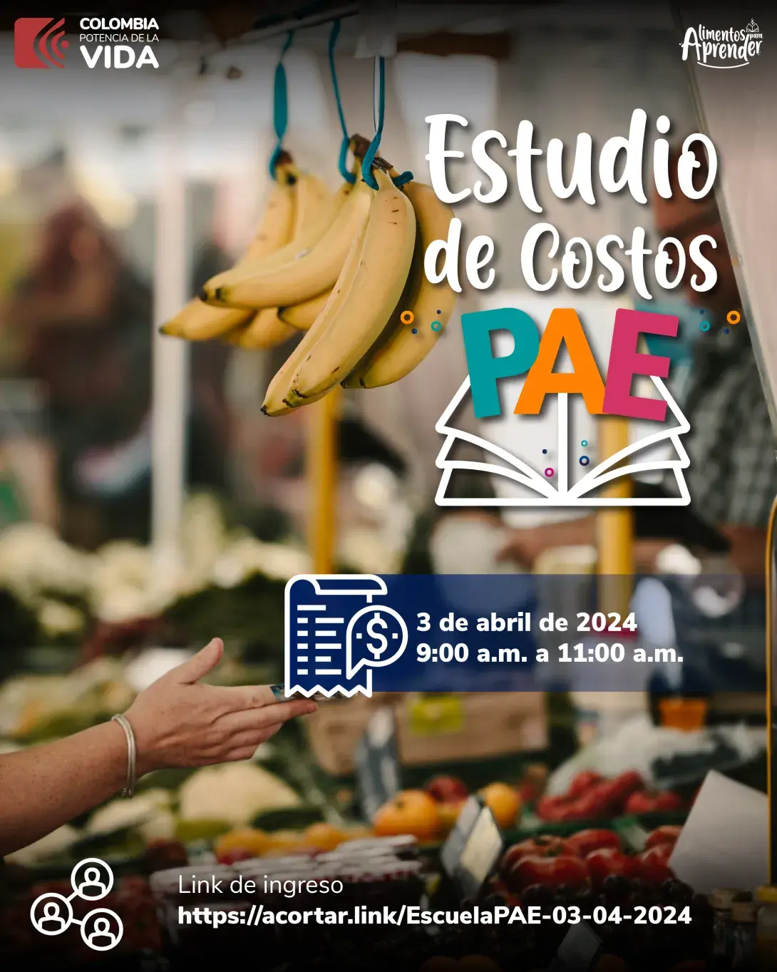 Estudio de costos PAE